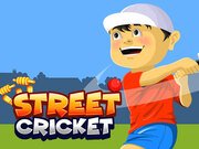 Street Cricket Game Online