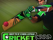 Cricket Batter Challenge Game Online